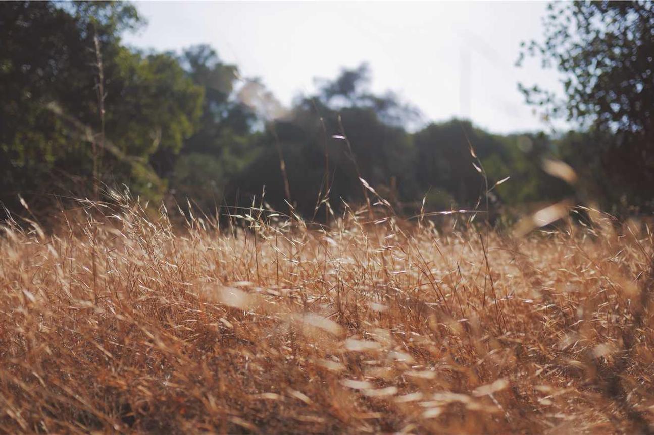 Ratione aut eos expedita doloribus nisi qui laudantium