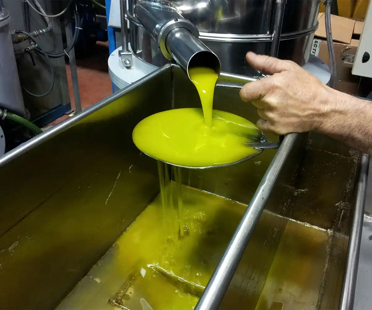 Pression à froid des olives